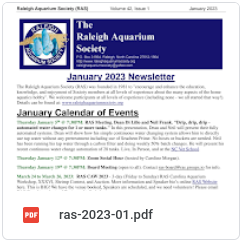 RAS-newsletter-icon-2023-01.png