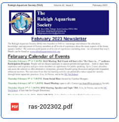 RAS-newsletter-icon-2023-02.png