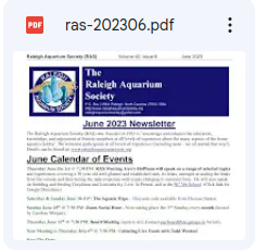 RAS-newsletter-icon-2023-06.png