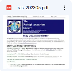 RAS-newsletter-icon-2023-05.png