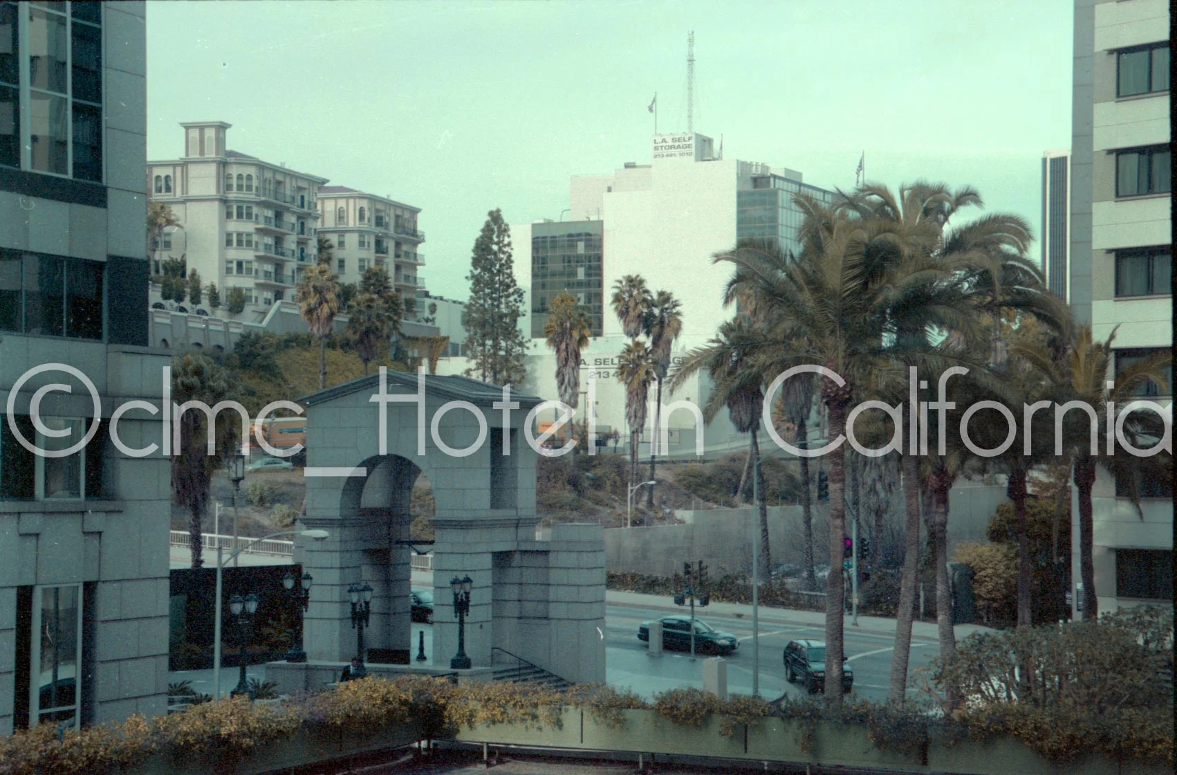 Around the World-1.jpg