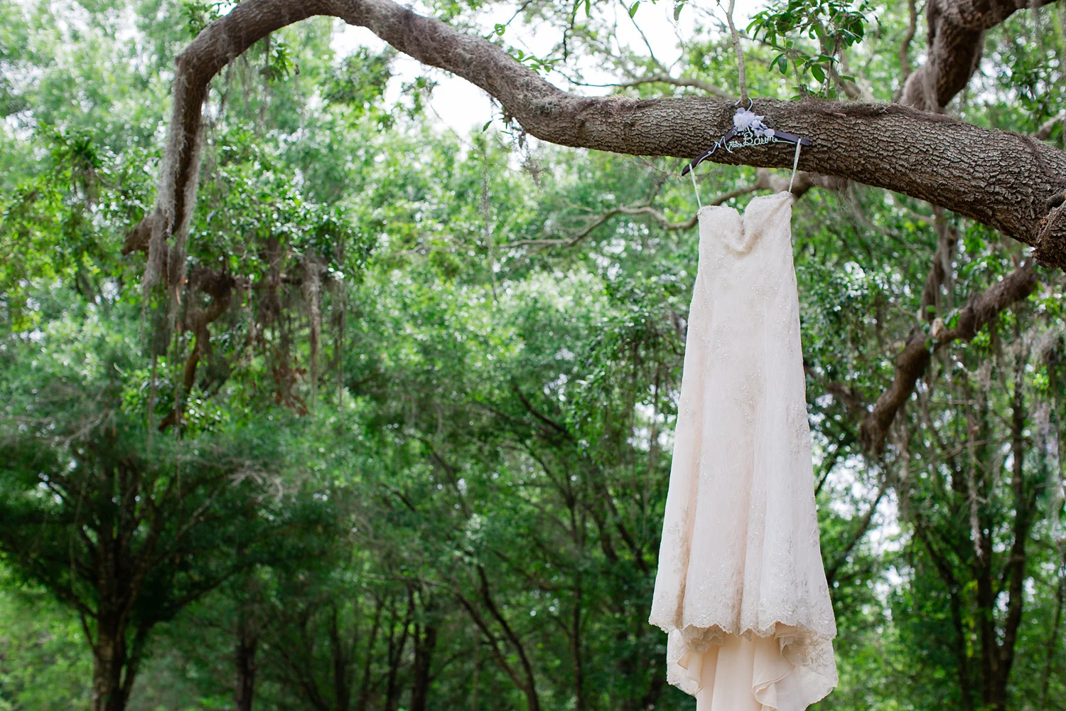 Katelyn Prisco Photography, wedding photographer, Bakers Ranch, Sarasota wedding, Sarasota wedding photographer, rustic wedding