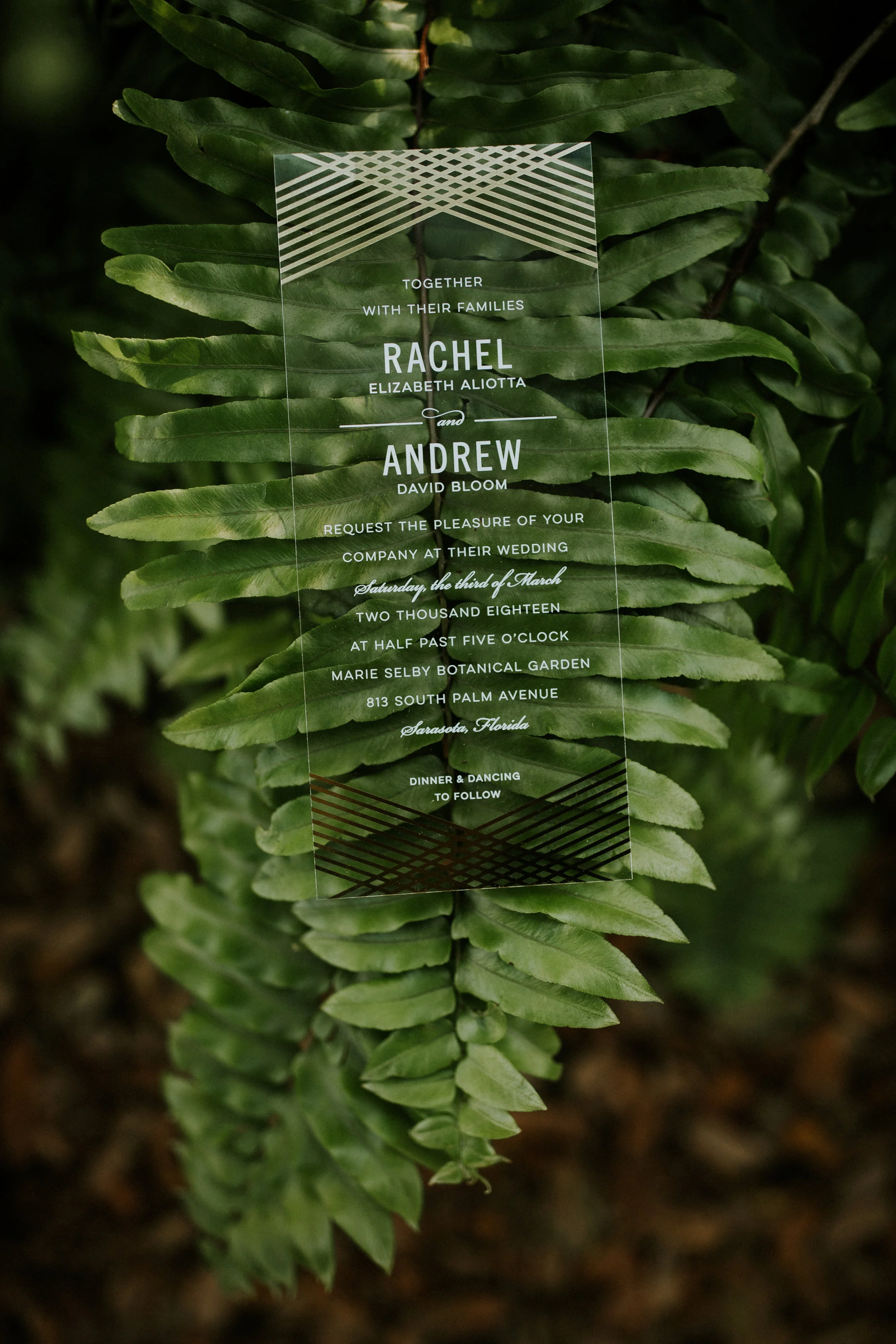 OurWeddingDay-226.jpg