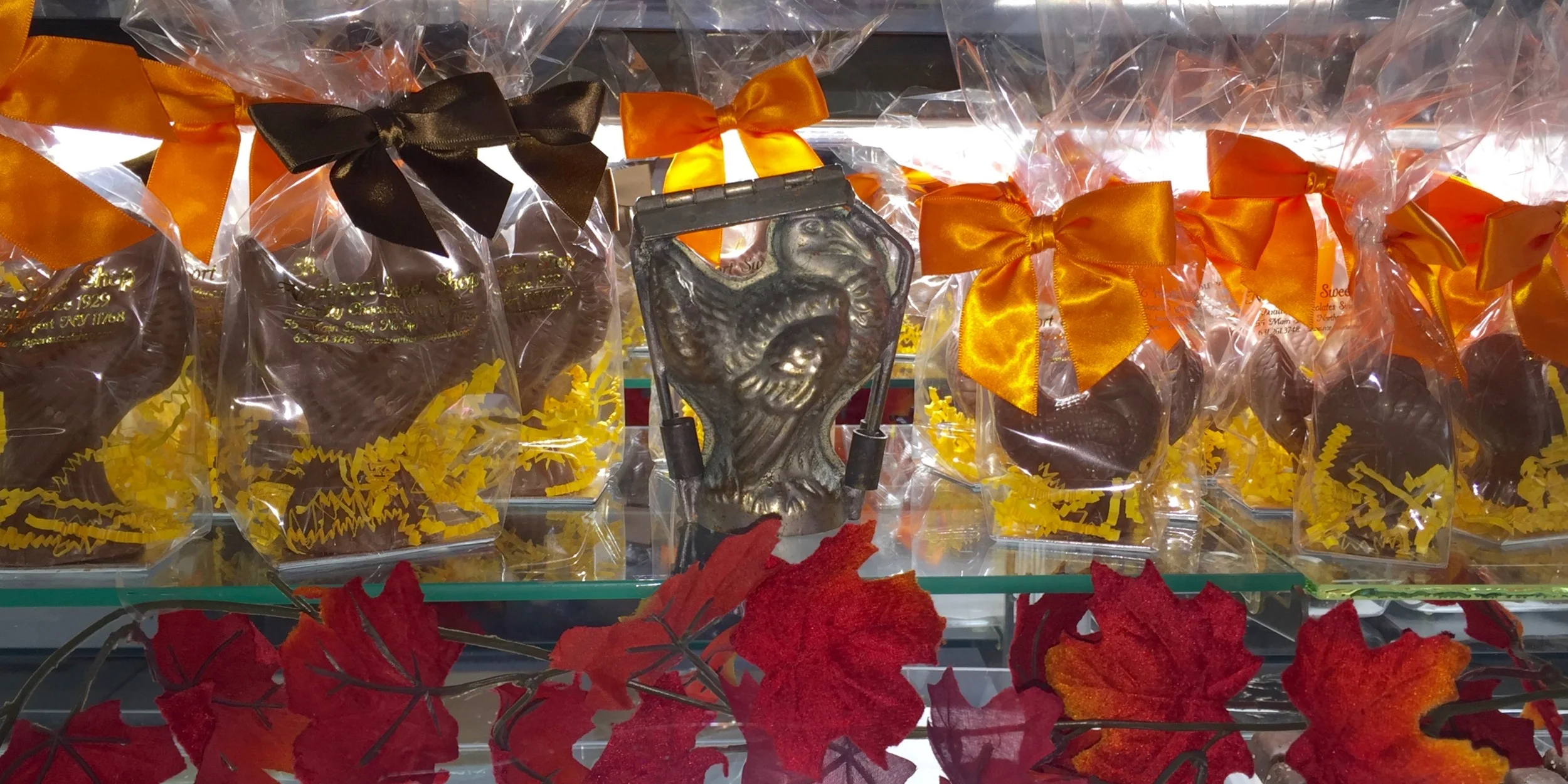 ThanksGivingDisplay(850x425).jpg