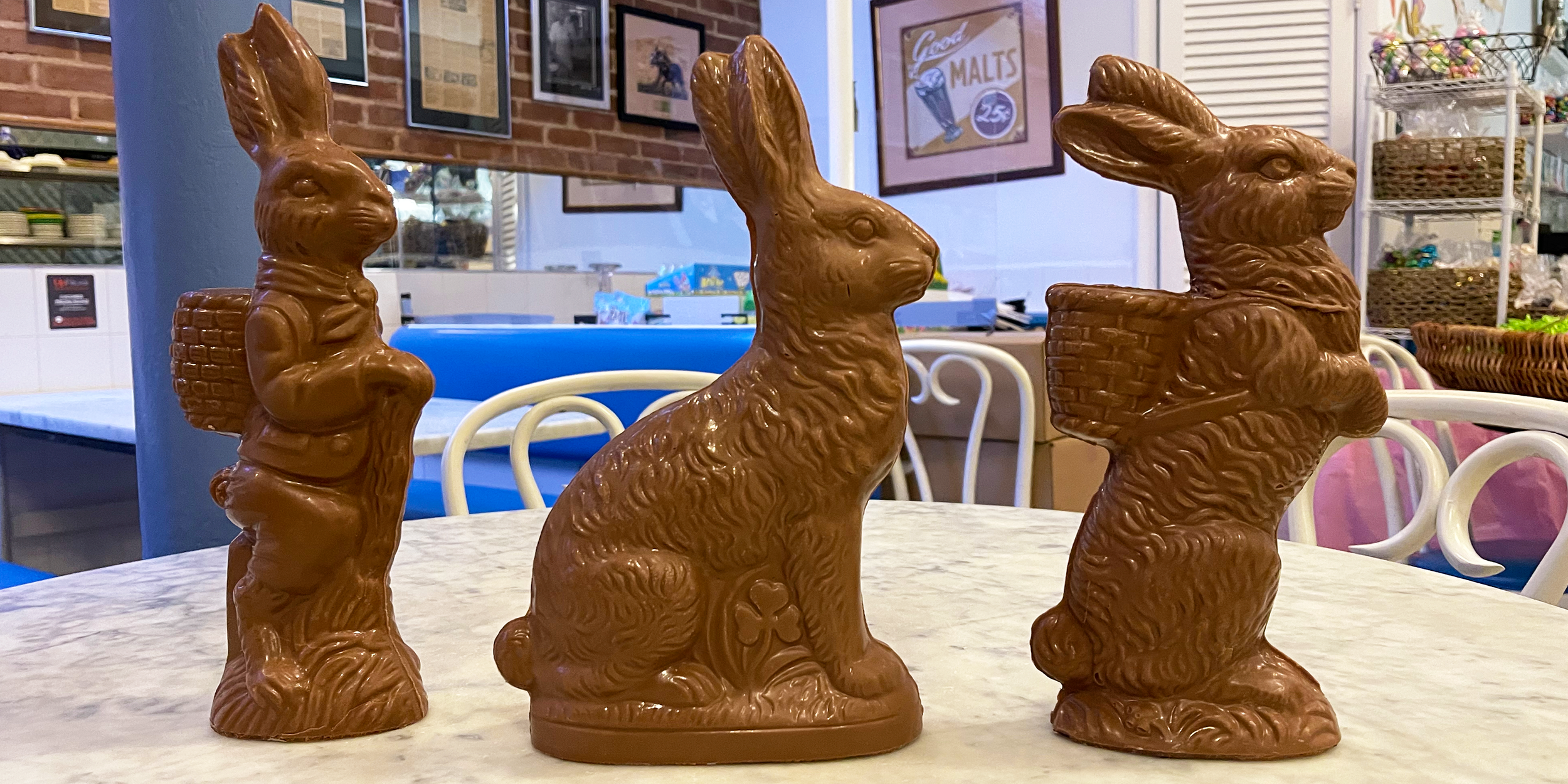 BANNER Easter Bunnies.png