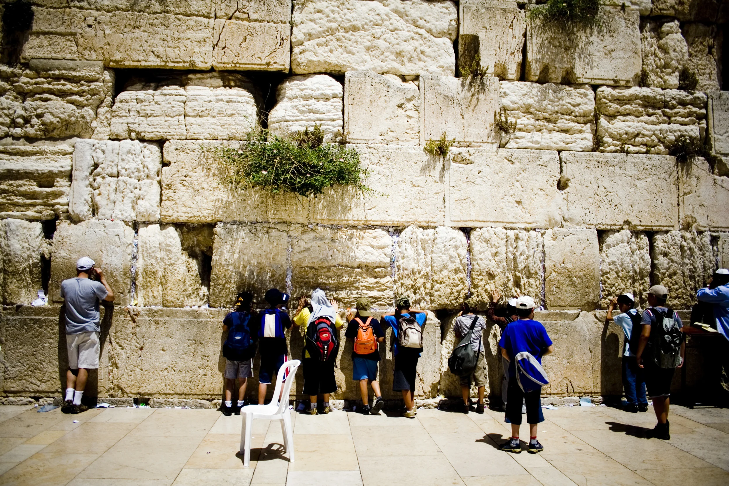 field-trip_2531867508_o.jpg