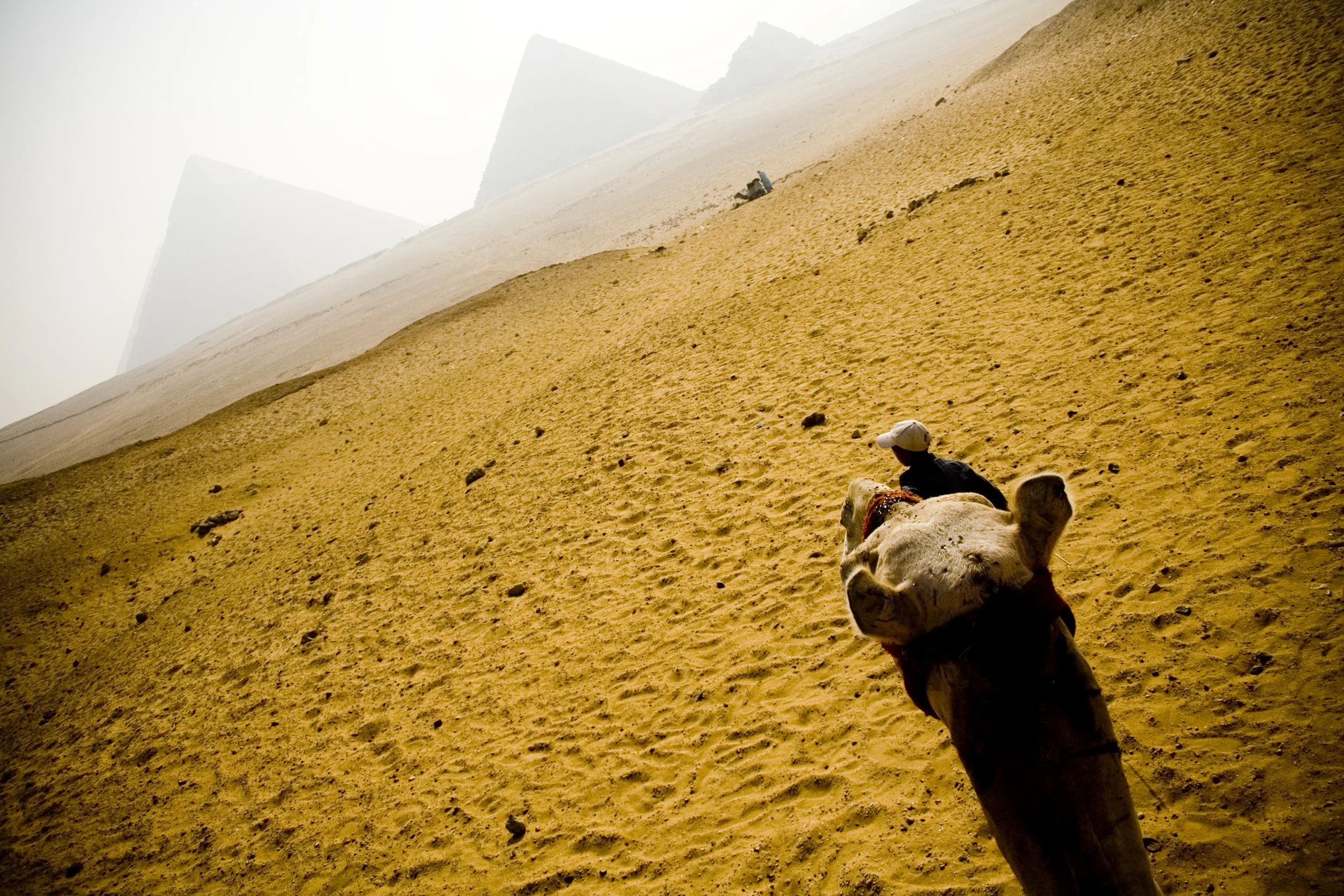 camel_2534063386_o.jpg