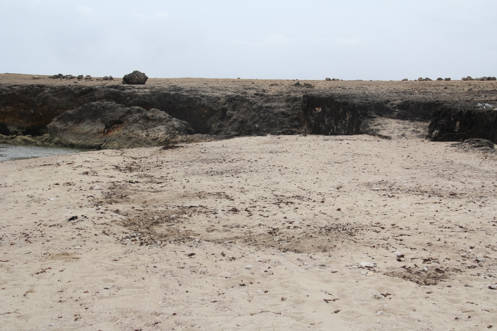 After cleaning, a "super highway of sand" that will help increase turtle nest success and hatchling survival.