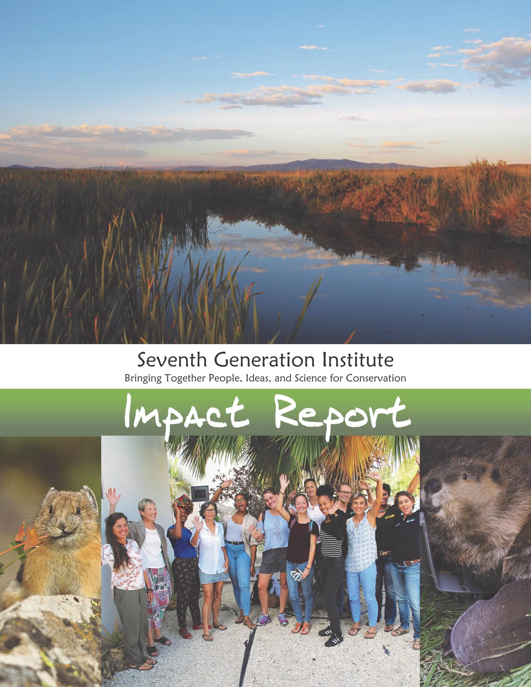 Impact Report_Page_1.jpeg