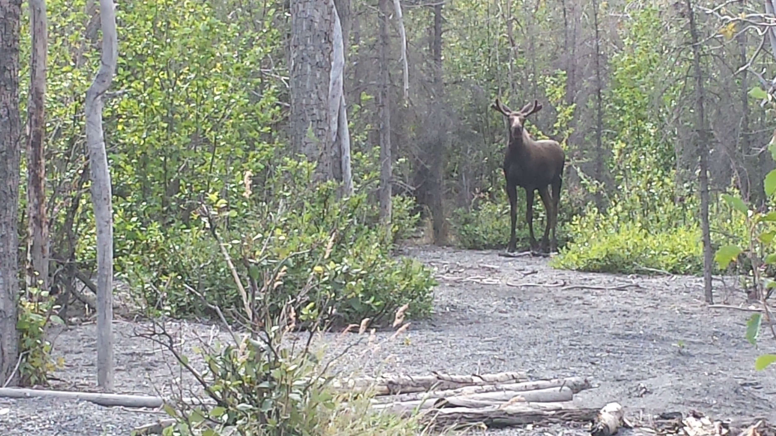 20150808_165459.jpg