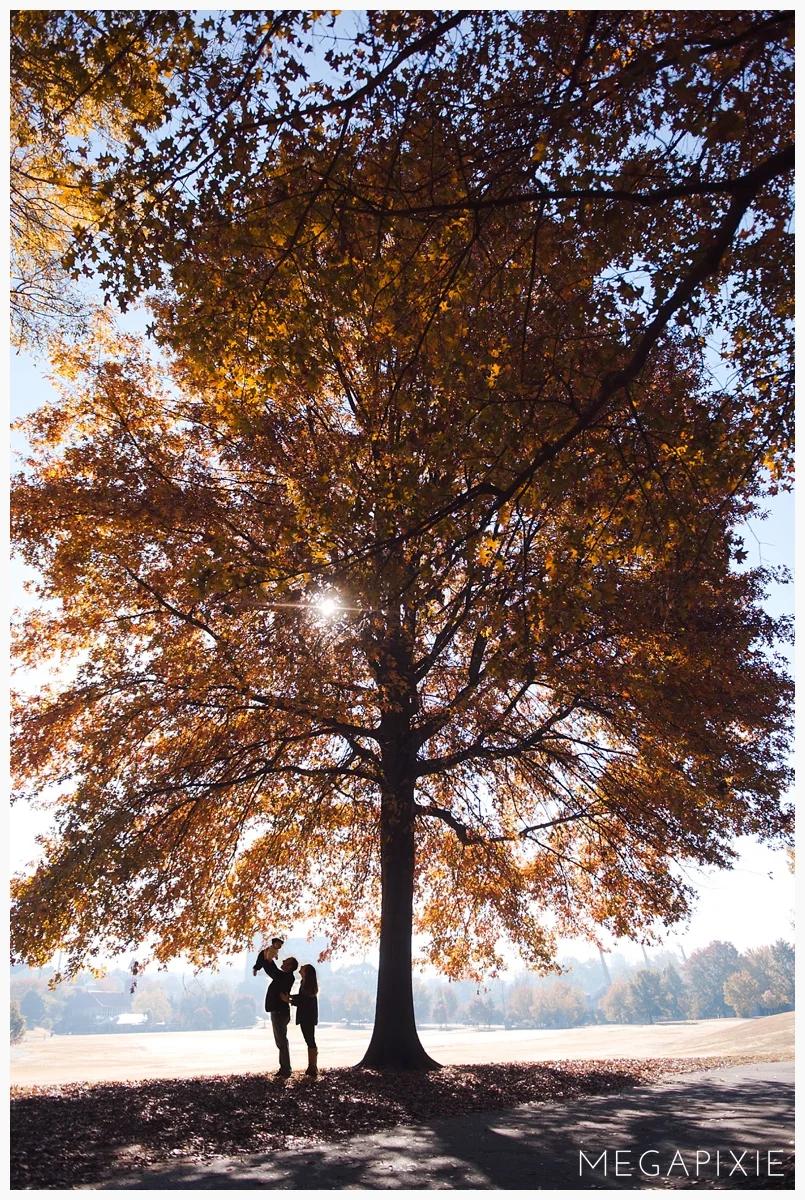 Oliver / Atlanta Family Photography