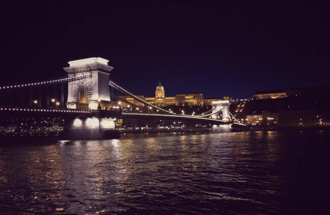 Buda Castle from the Danube