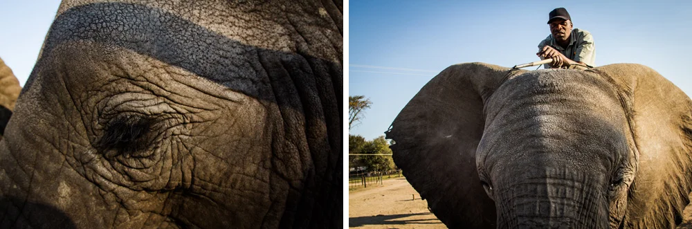 034-zimbabwe2014.jpg
