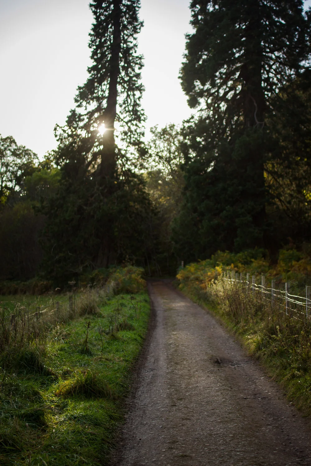 032-Inverness.jpg