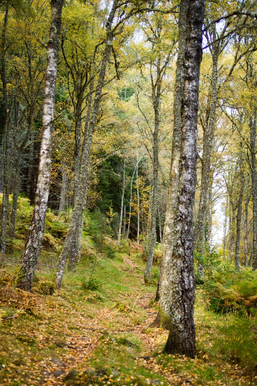 033-Inverness.jpg