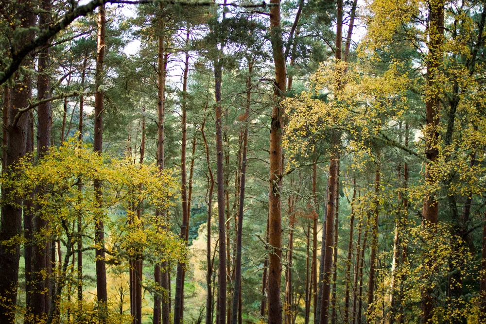 037-Inverness.jpg