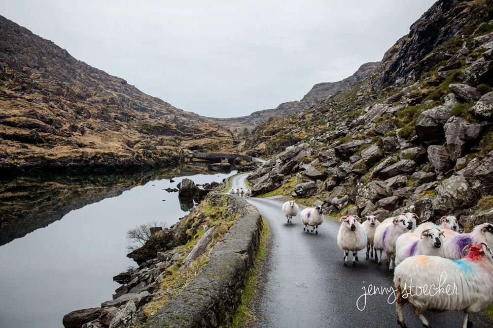 022-Ireland.jpg