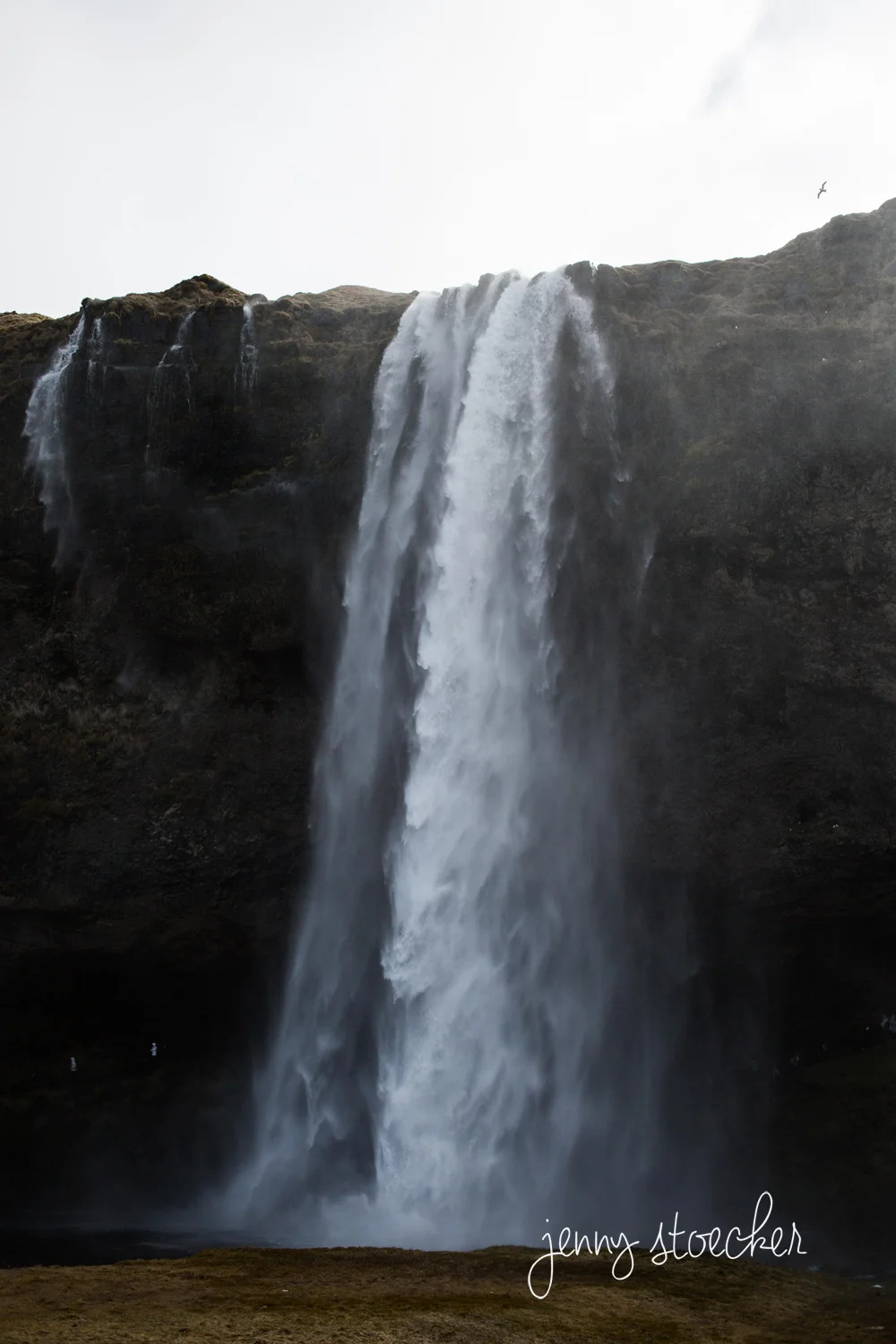 008-Iceland.jpg