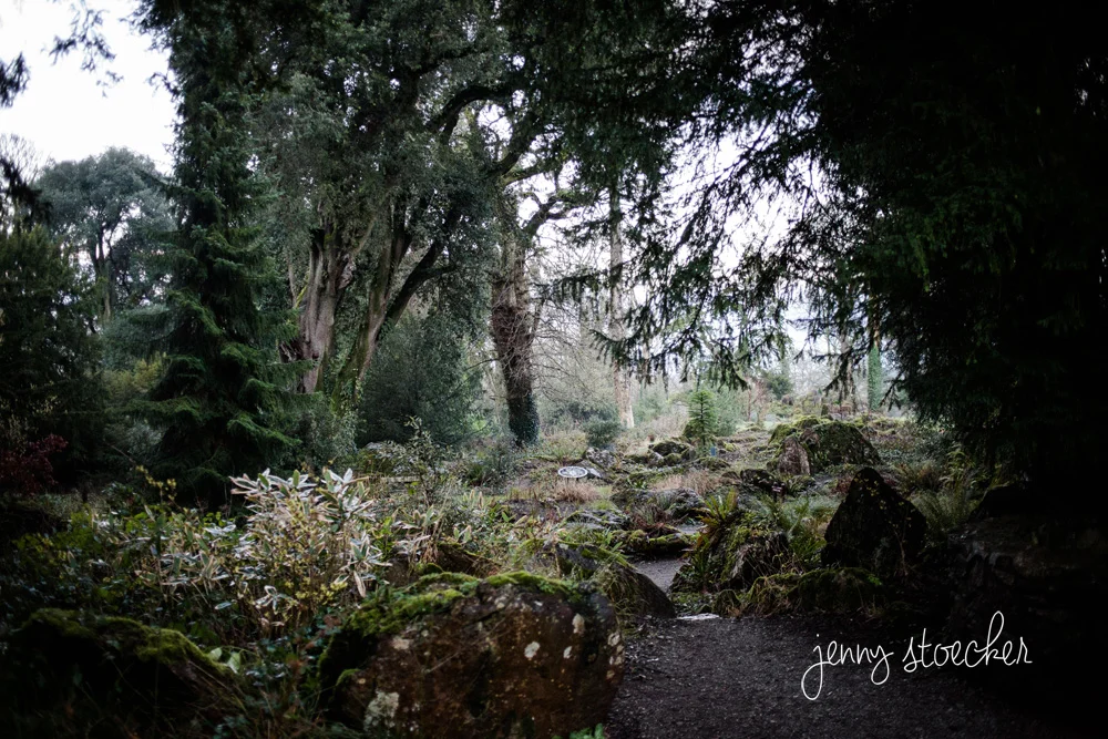 008-Ireland.jpg