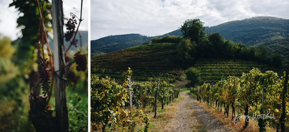 Slovenia, 2018