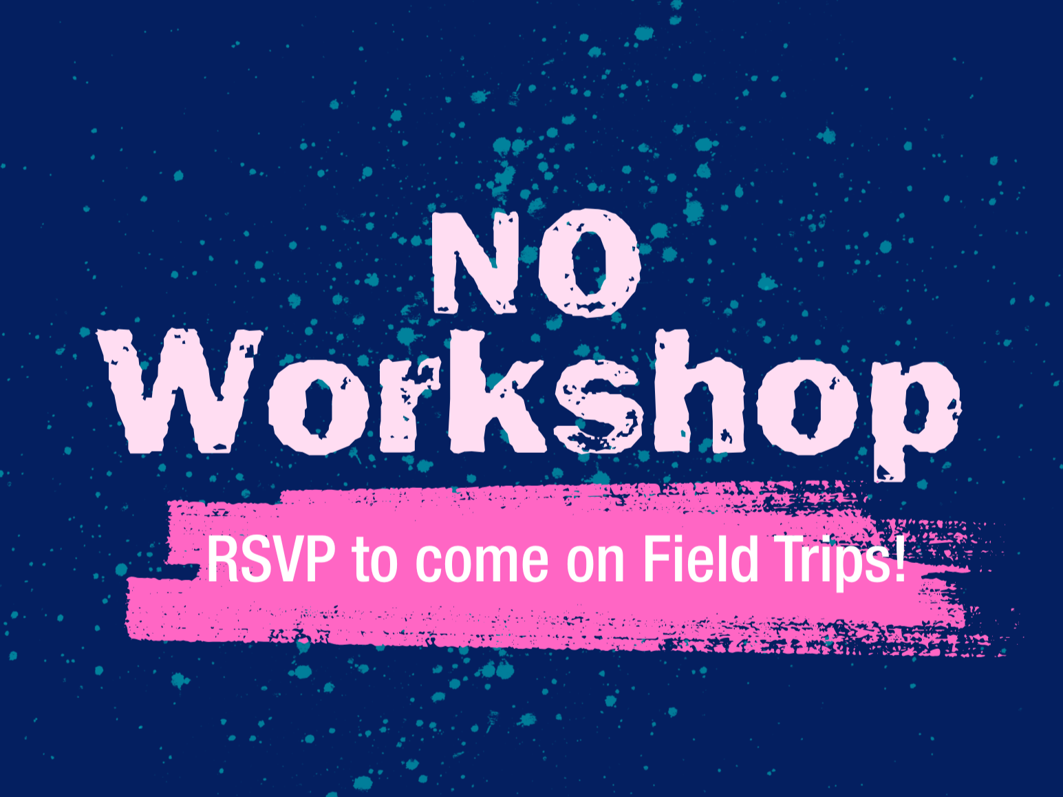 No Project Launch Workshop: Due to Field Trips 