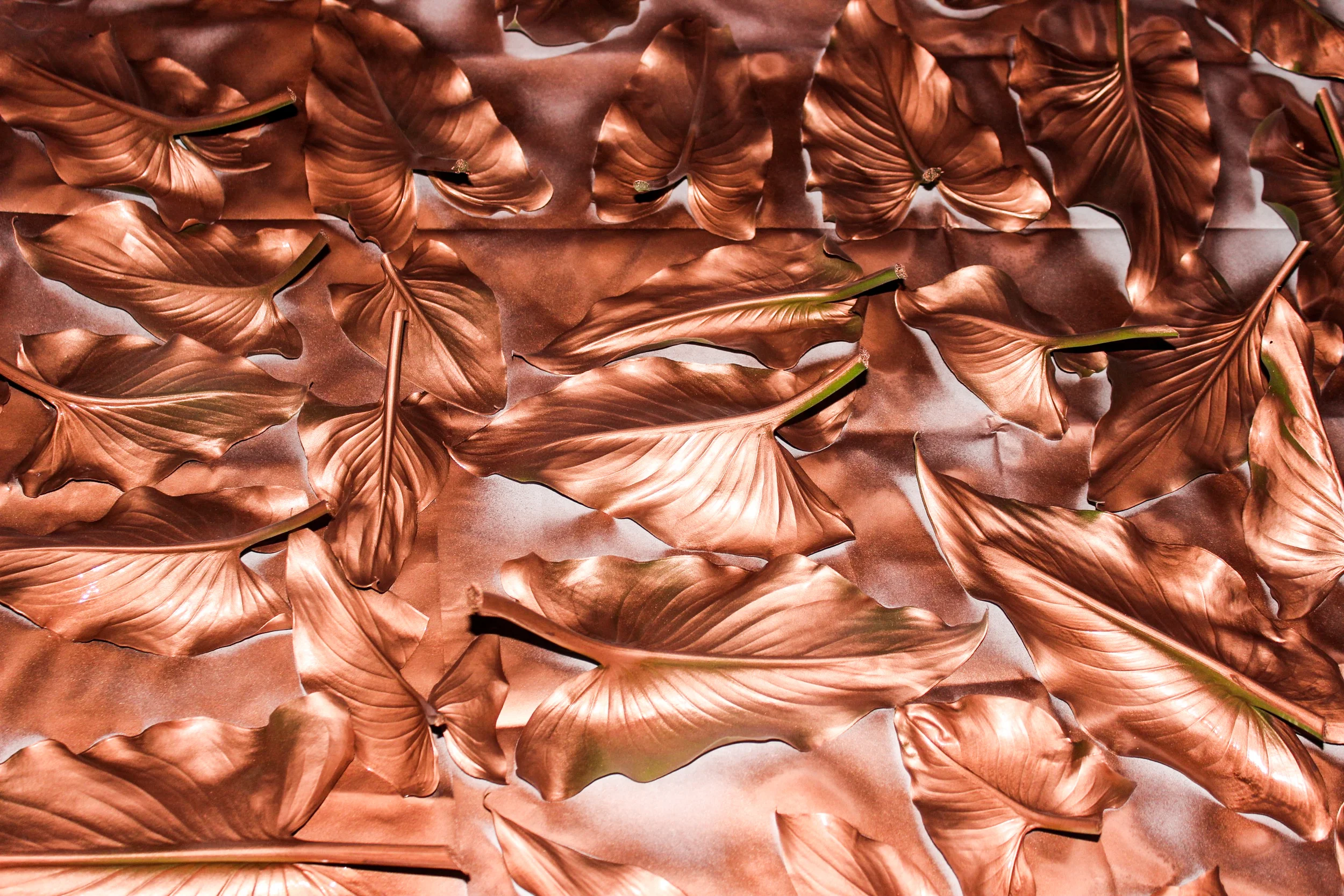 leaves-14.jpg