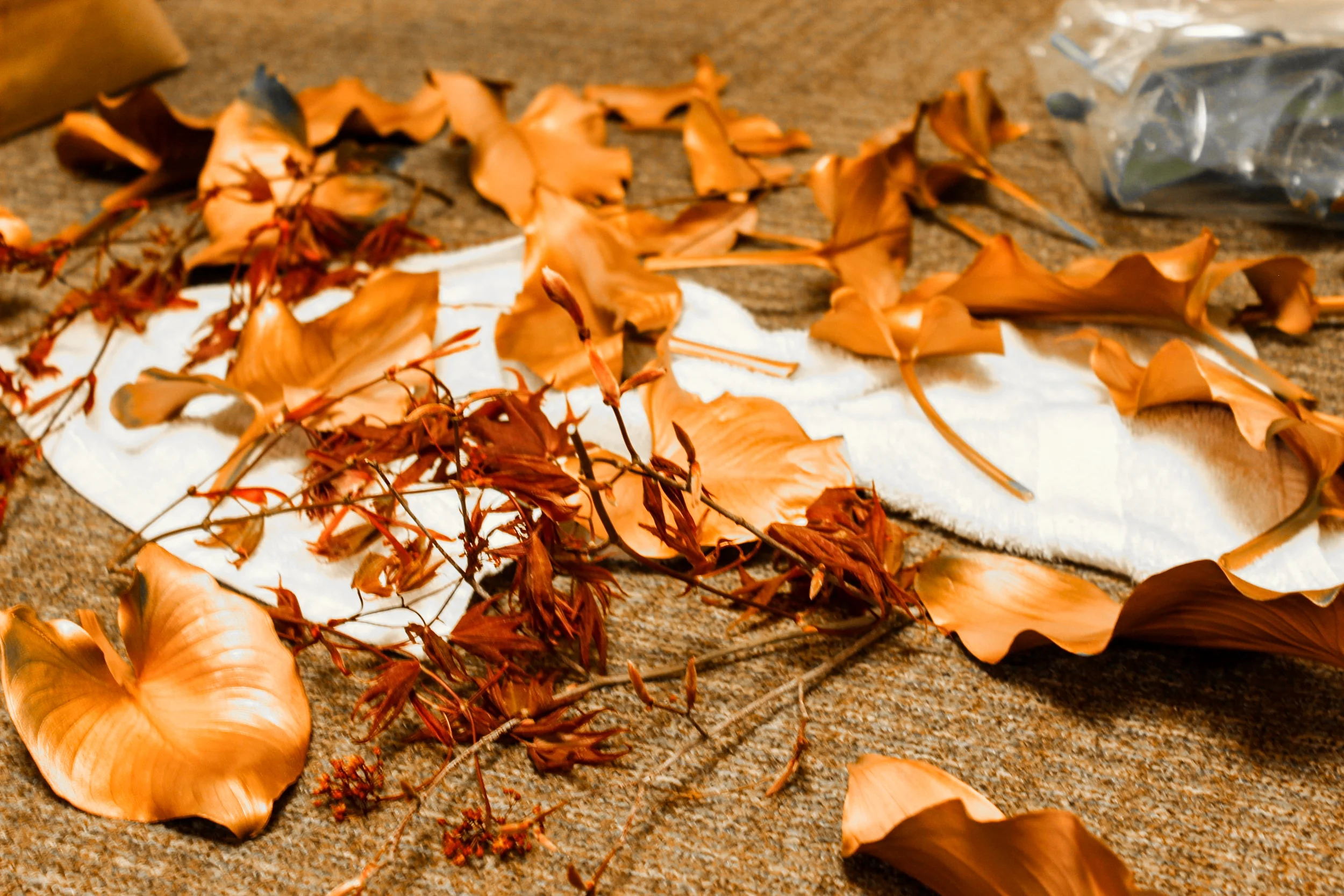 leaves-17.jpg