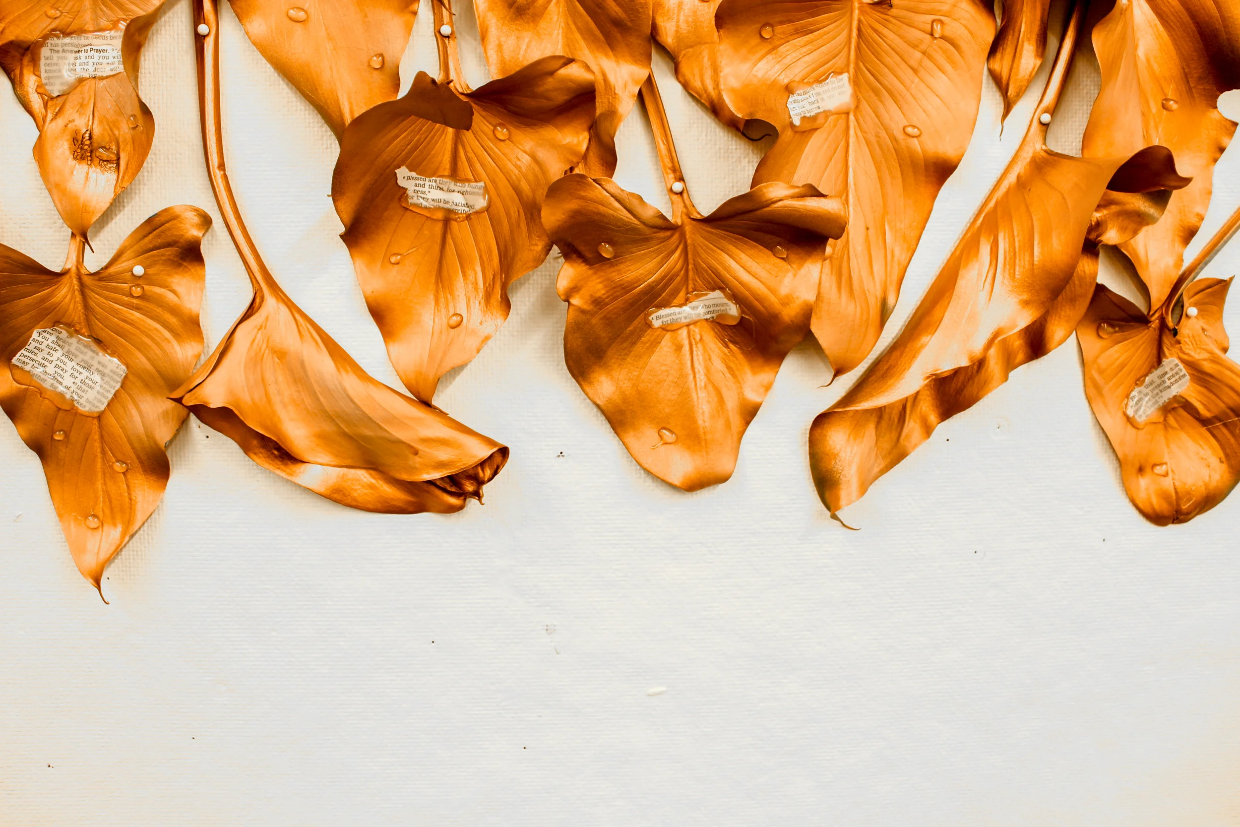 leaves-24.jpg