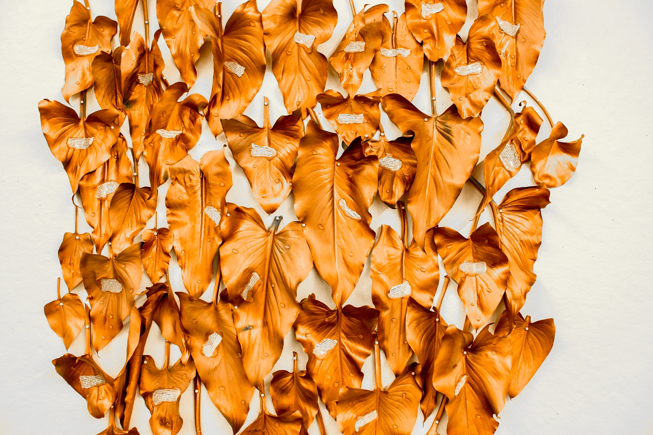 leaves-26.jpg