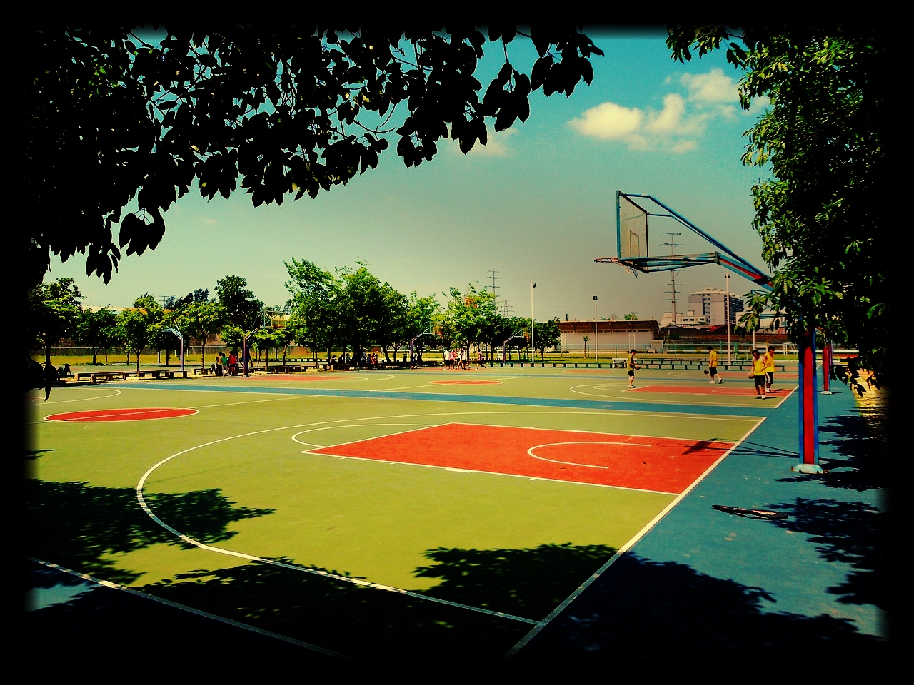 5 Reasons Gym Rats Dominate the Offseason