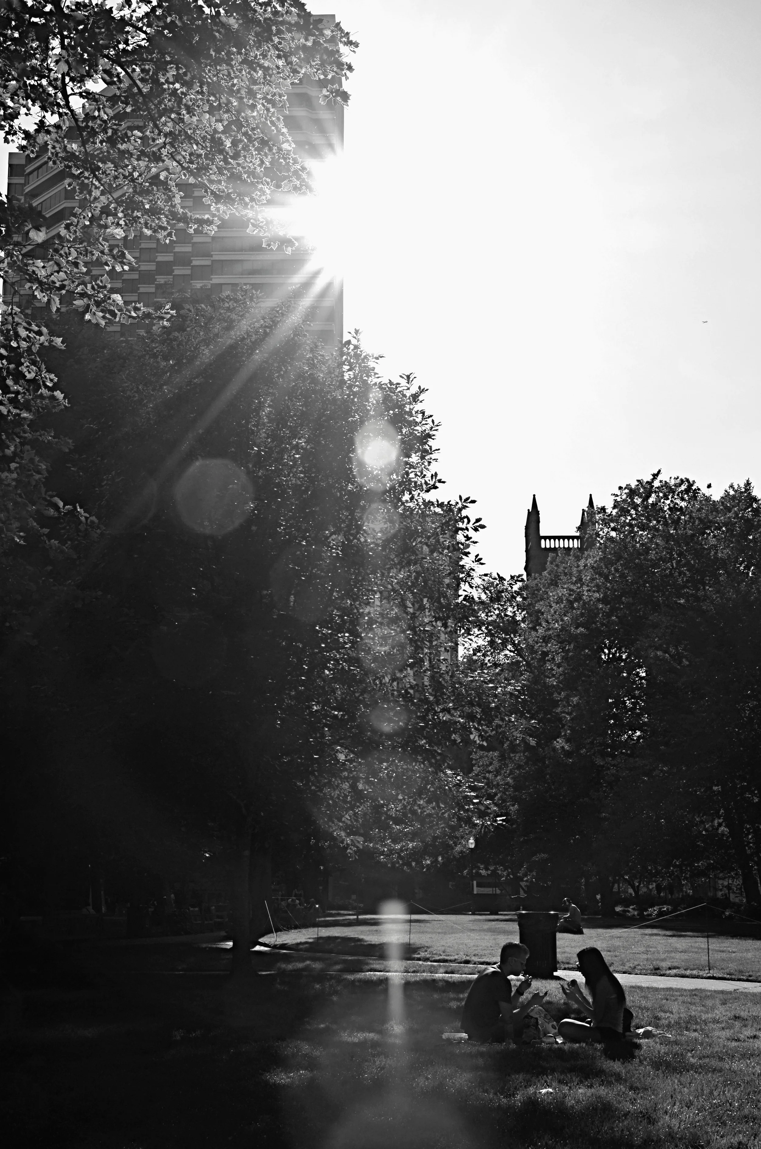 060514.[Picnic in the Park].JPG