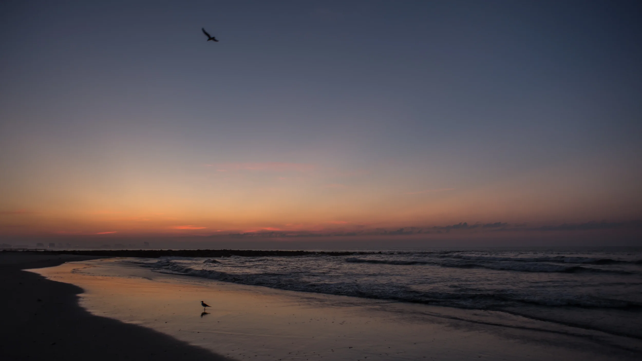 2016 - Ocean City_-17.jpg