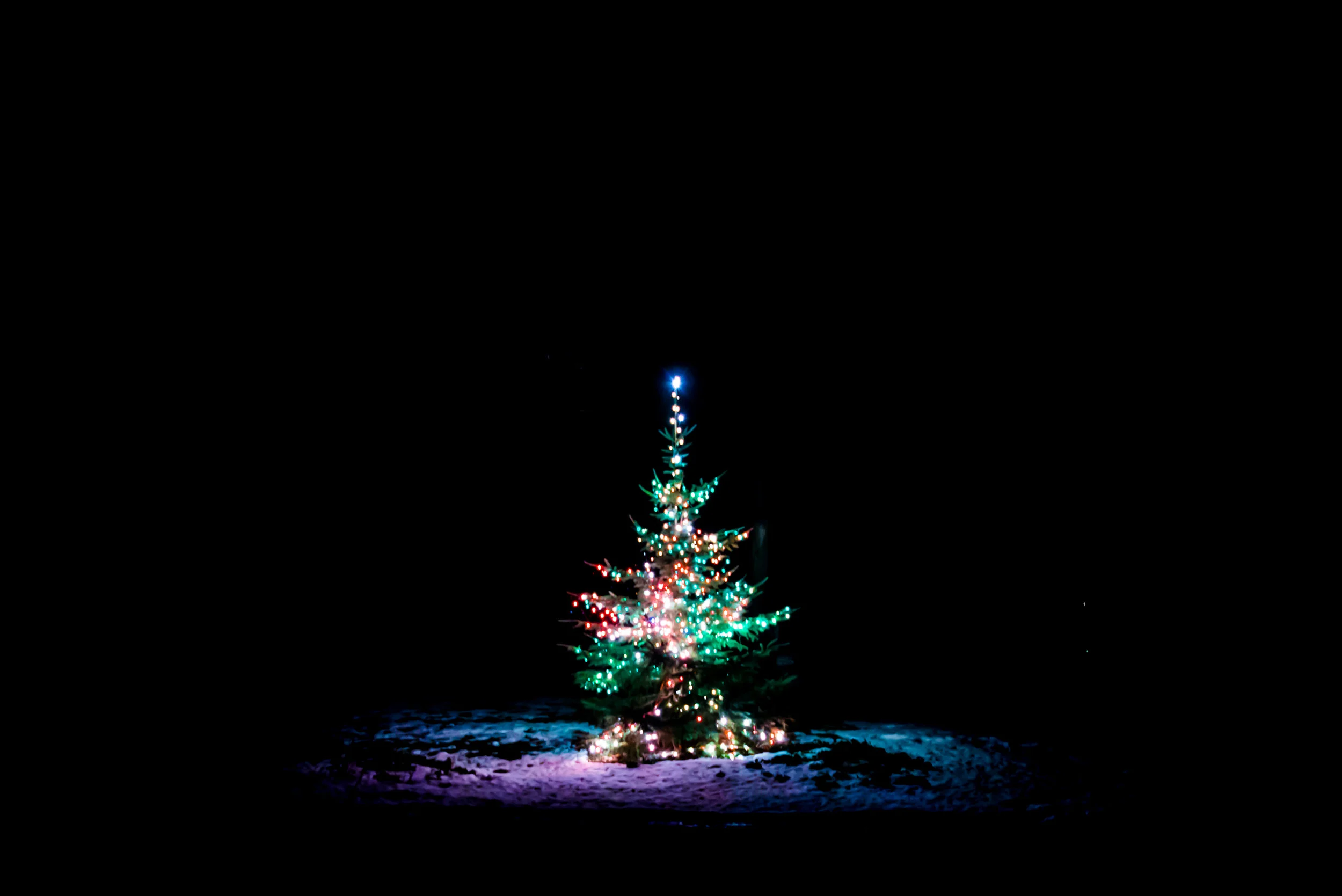 2016 - 122916 - last of christmas.jpg