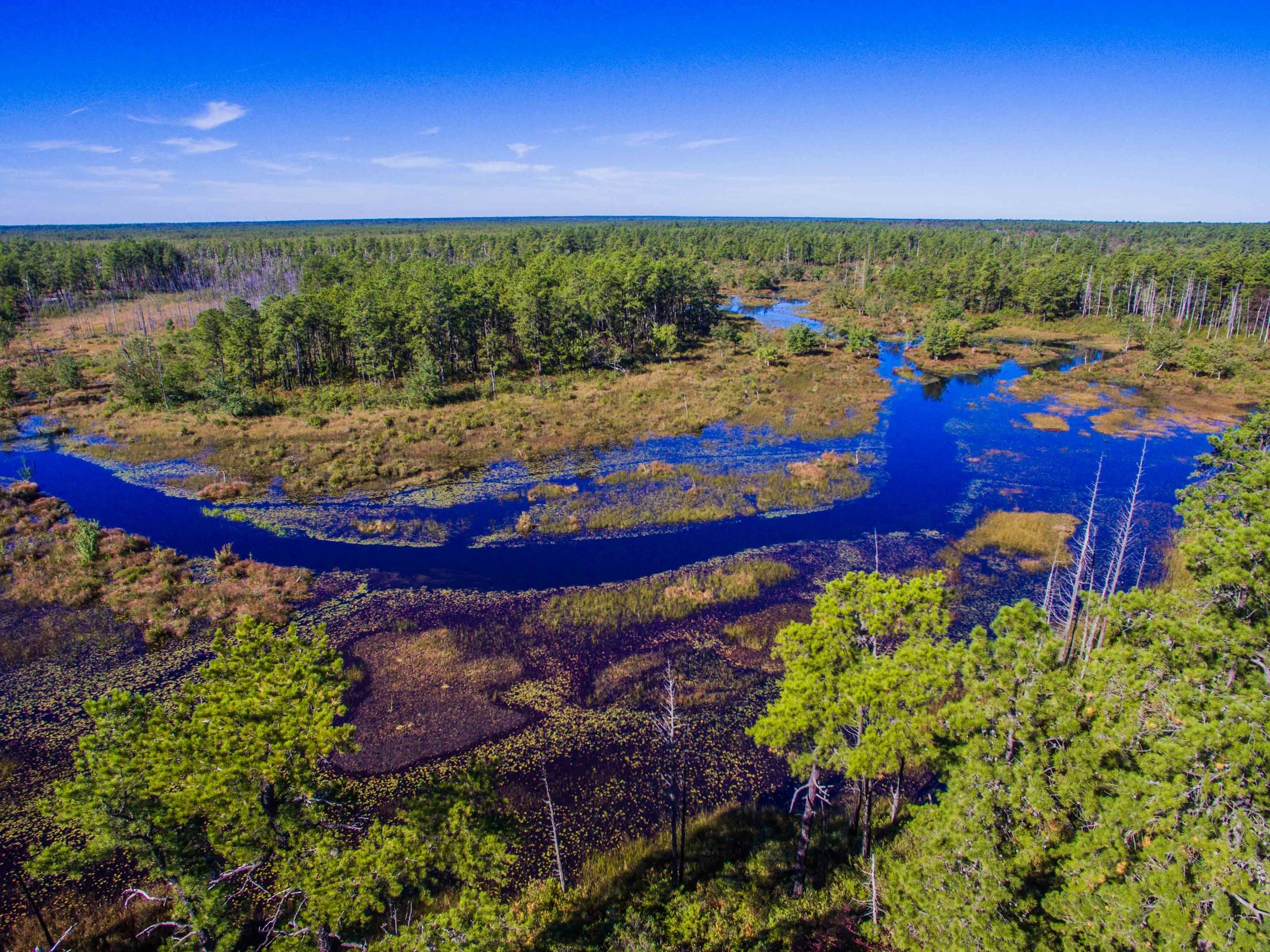 2016 - Pine Barrens-2.jpg