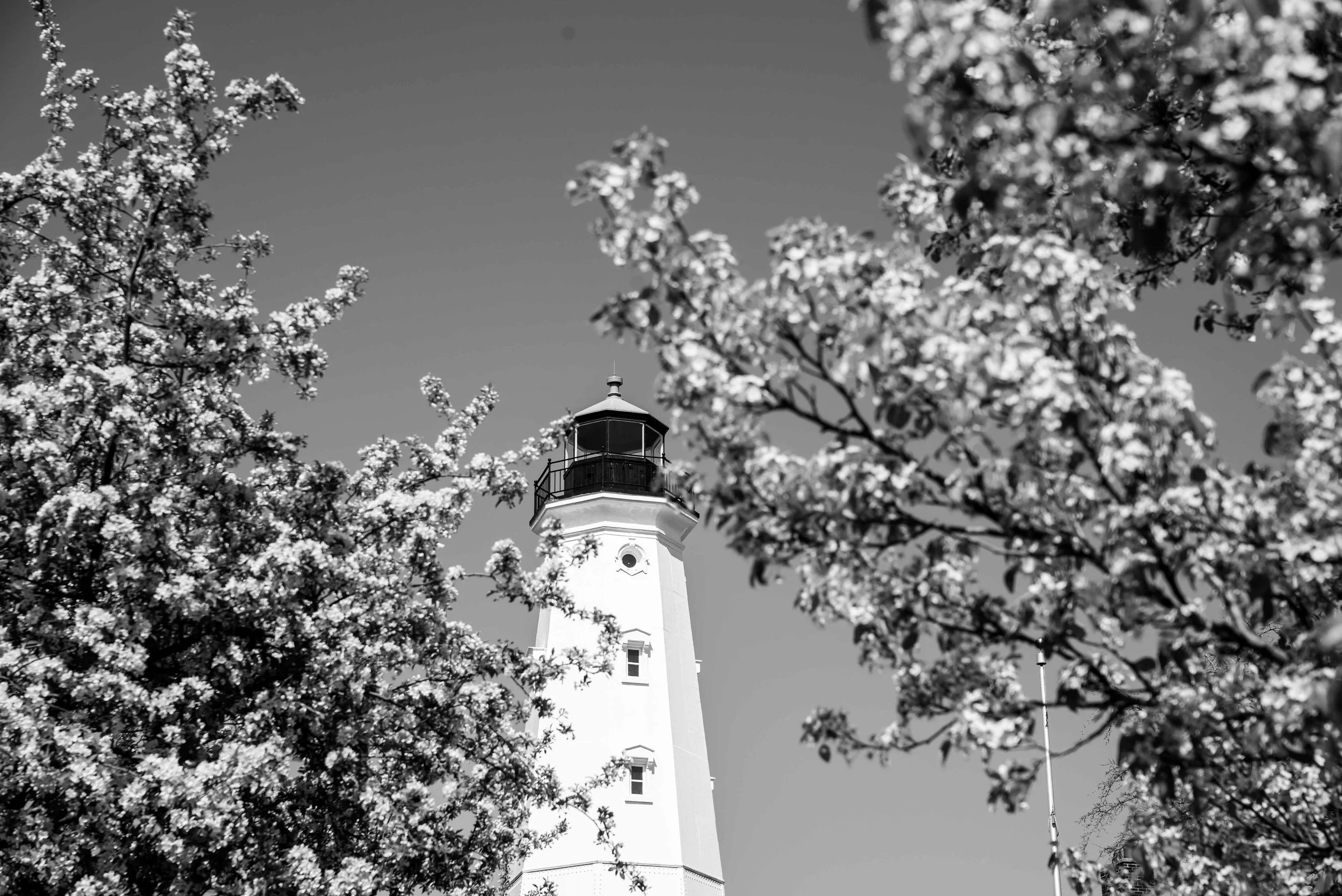 cjbown.com - milwaukee-134.jpg