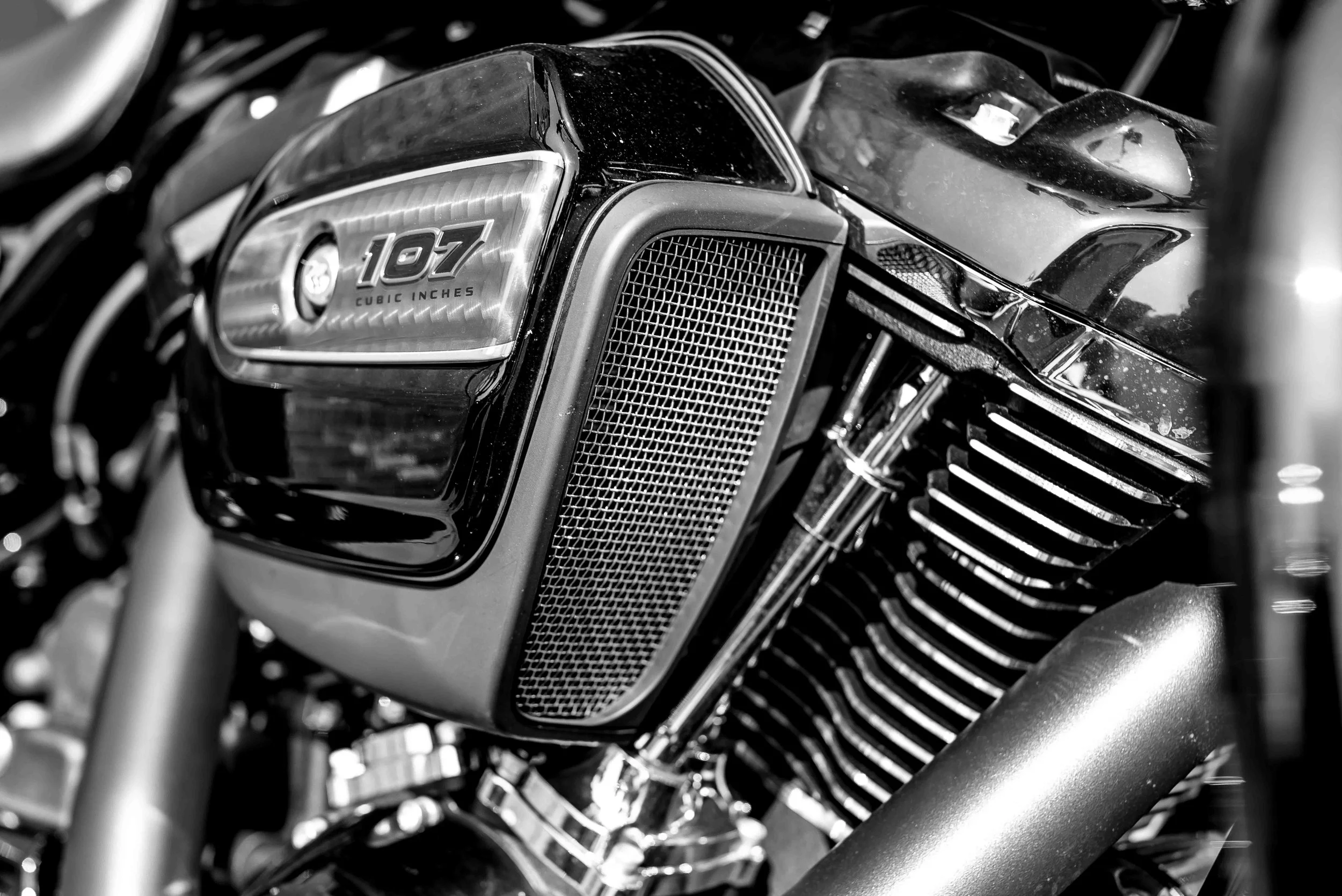 2017 - 09 Sept - Harley - for web-42.jpg