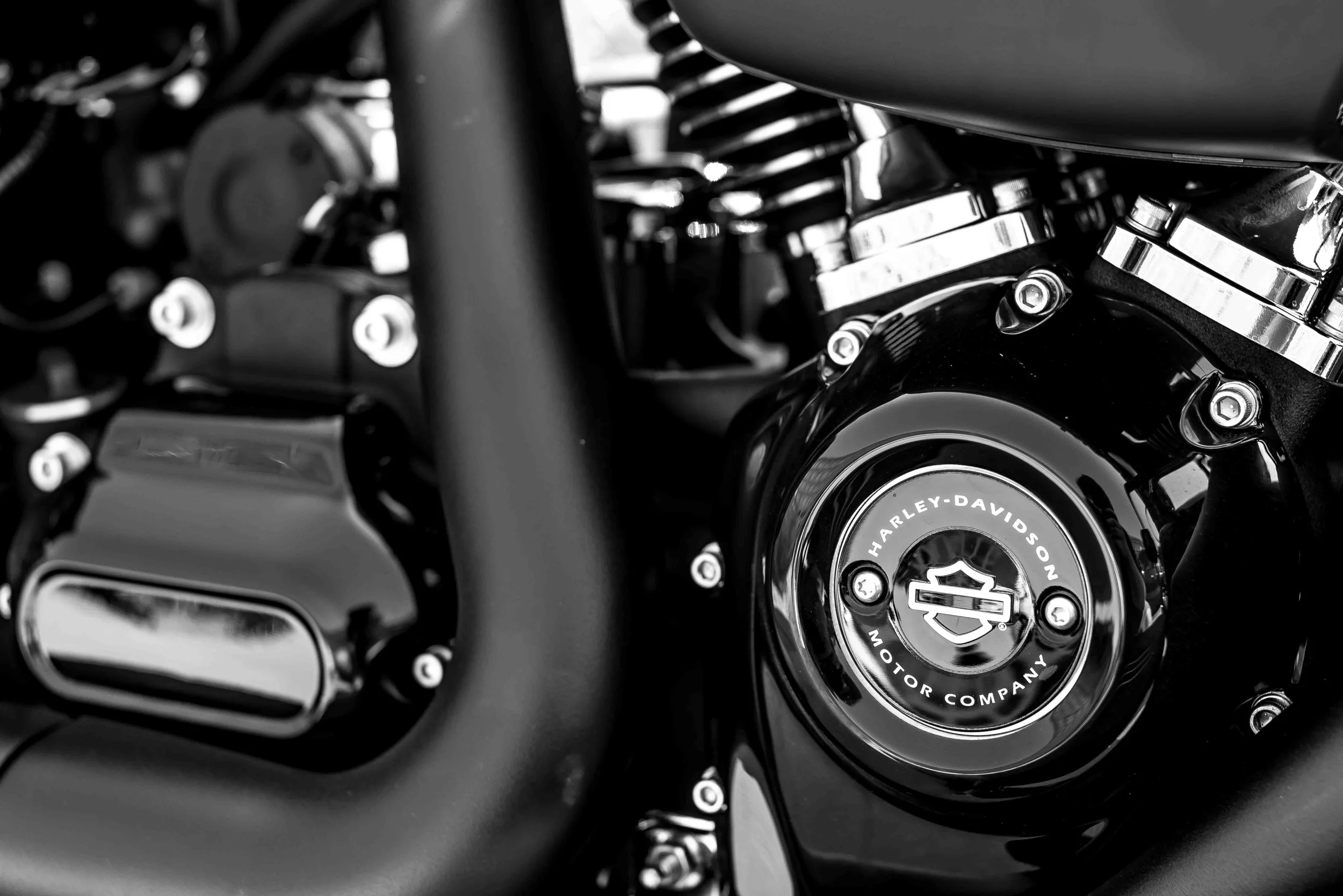2017 - 09 Sept - Harley - for web-13.jpg