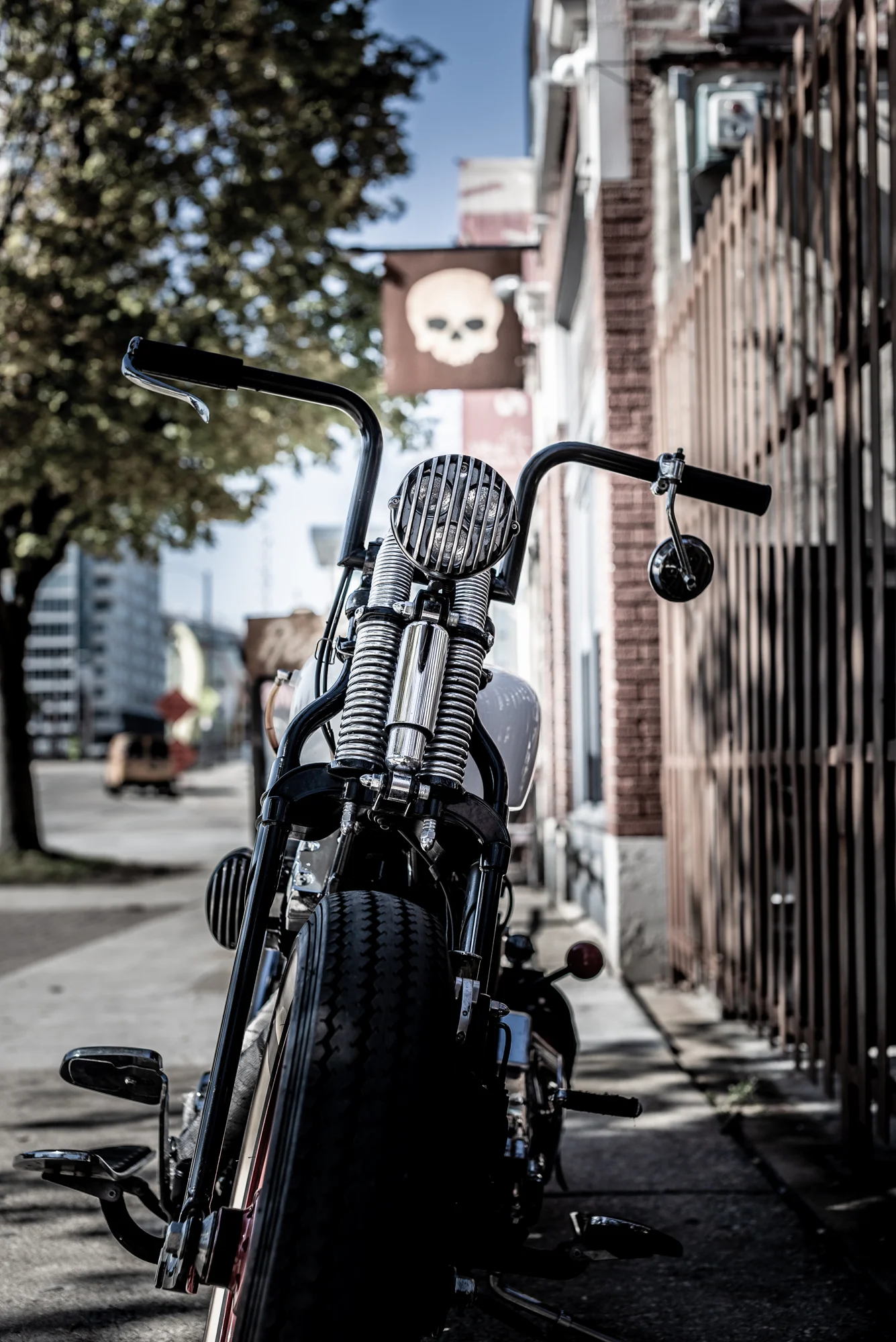 2017 - Nate Harley Rogues - for web-18.jpg