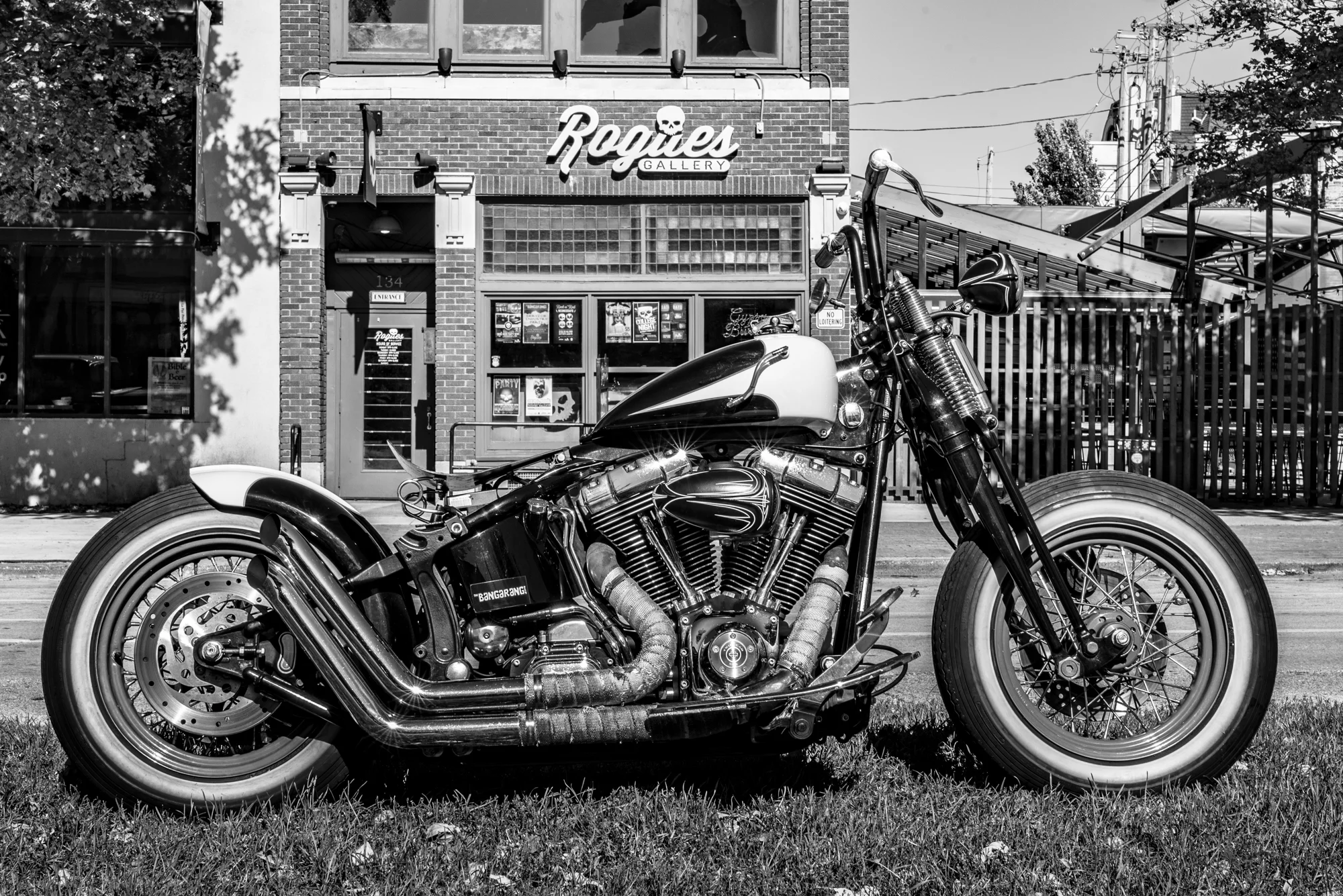 2017 - Nate Harley Rogues - for web-22.jpg