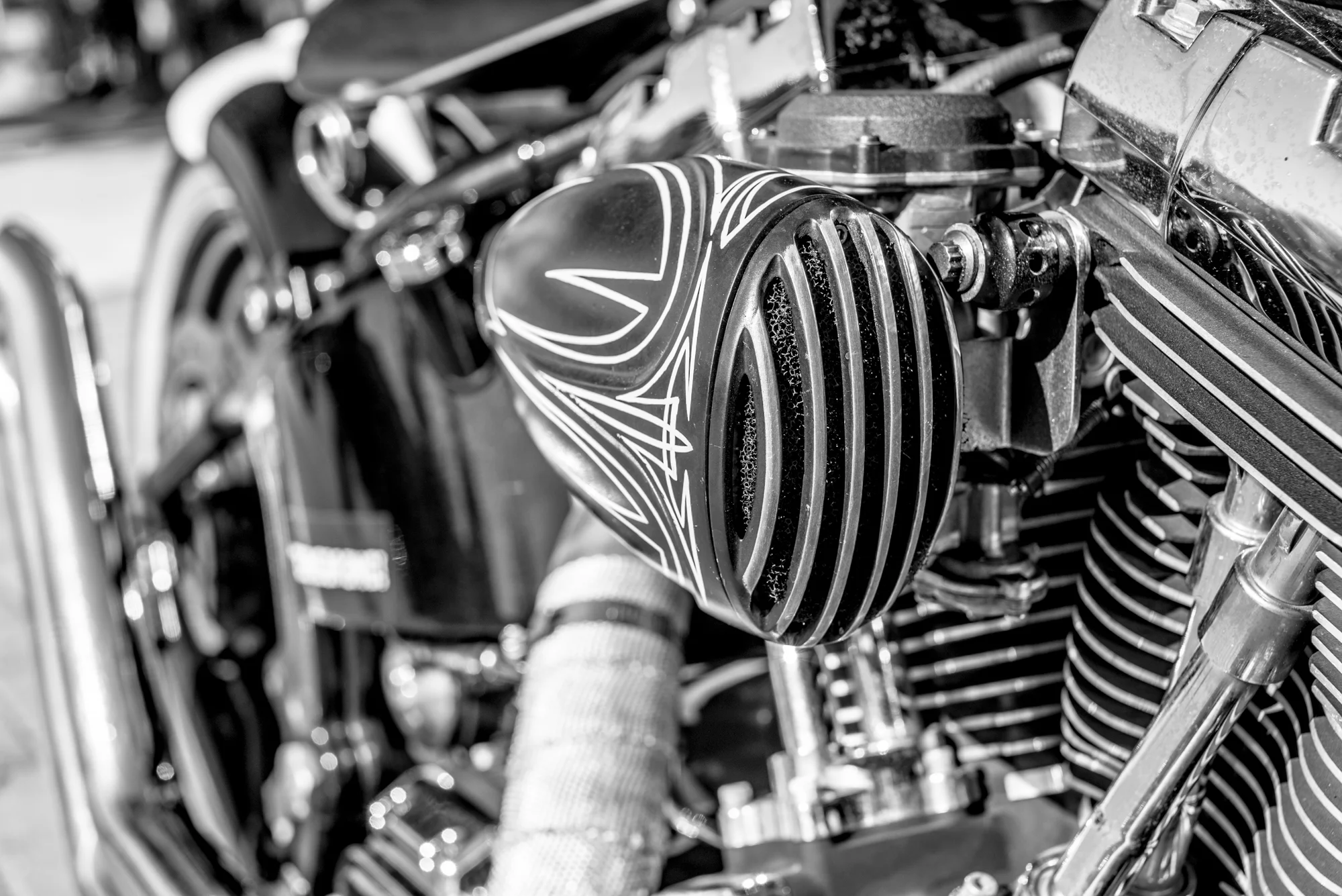 2017 - Nate Harley Rogues - for web-27.jpg