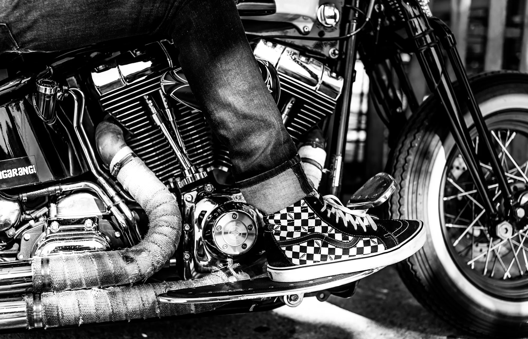 2017 - Nate Harley Rogues - for web-33.jpg