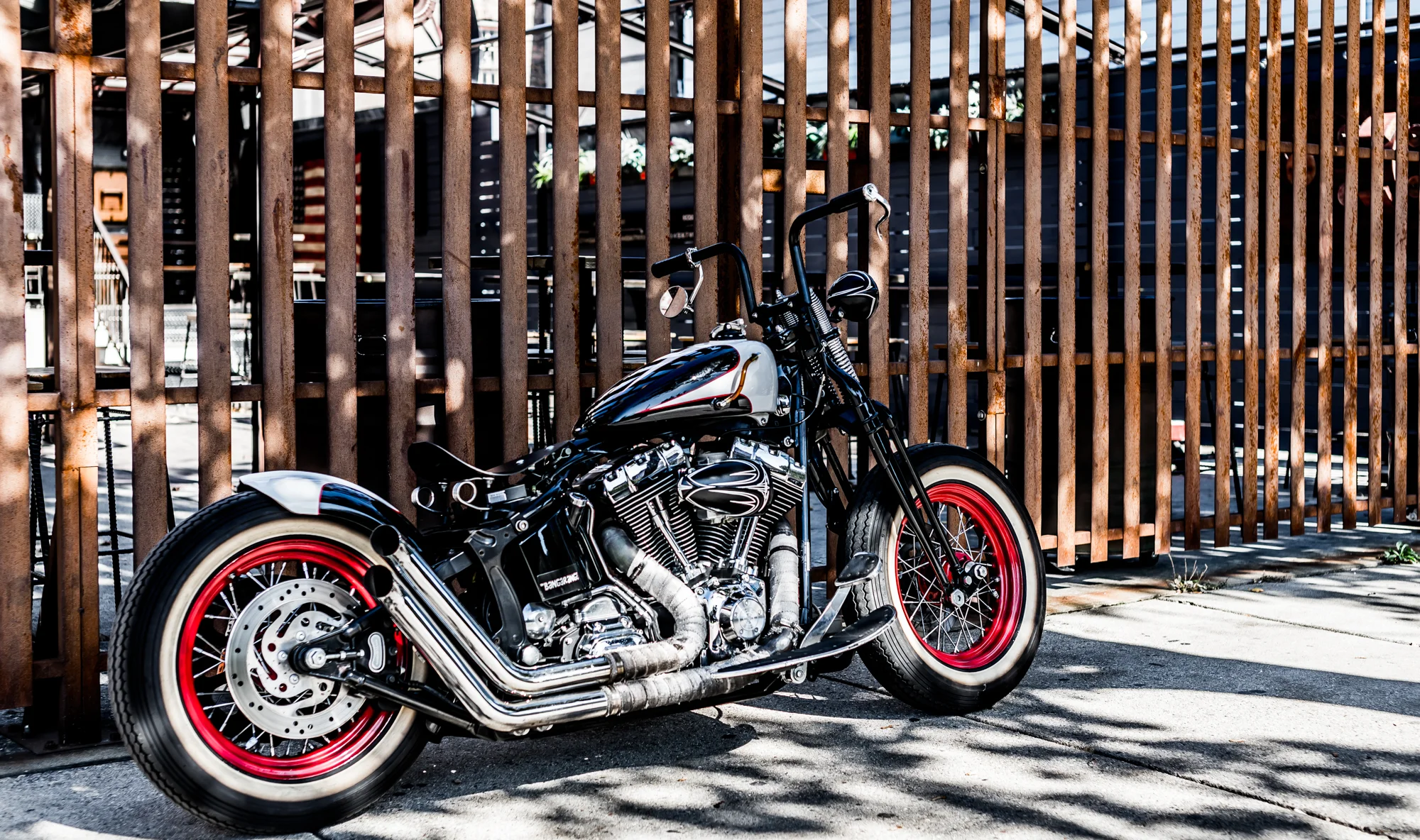 2017 - Nate Harley Rogues - for web-37.jpg