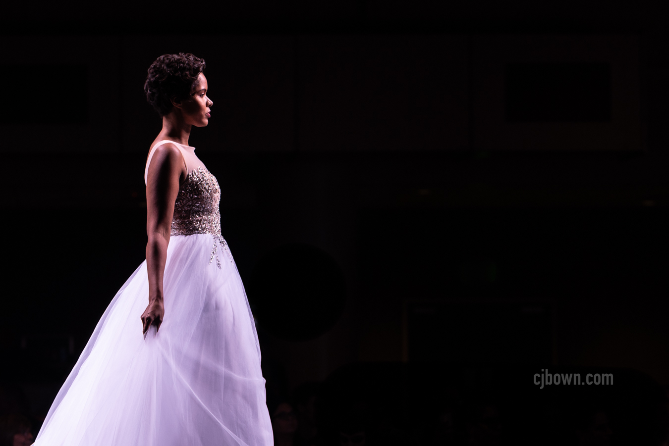 2018 - 09 Sept - MKE Fashion Show - for web-61.jpg