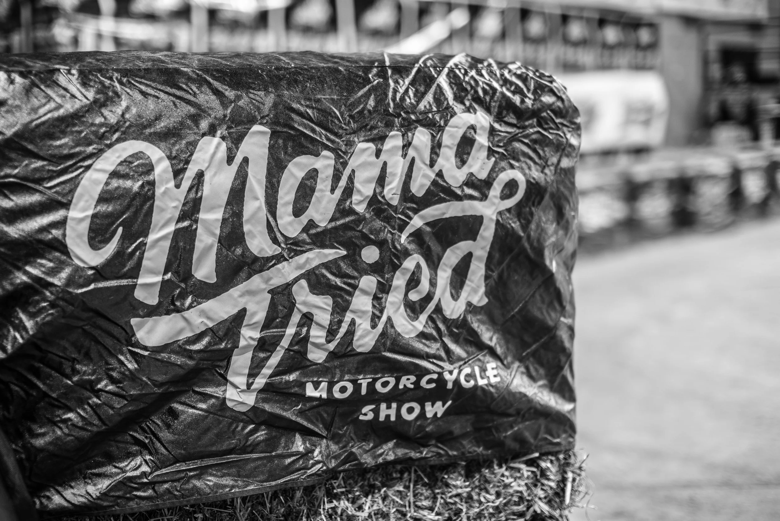 2019 - Feb - Mama Tried-37.jpg