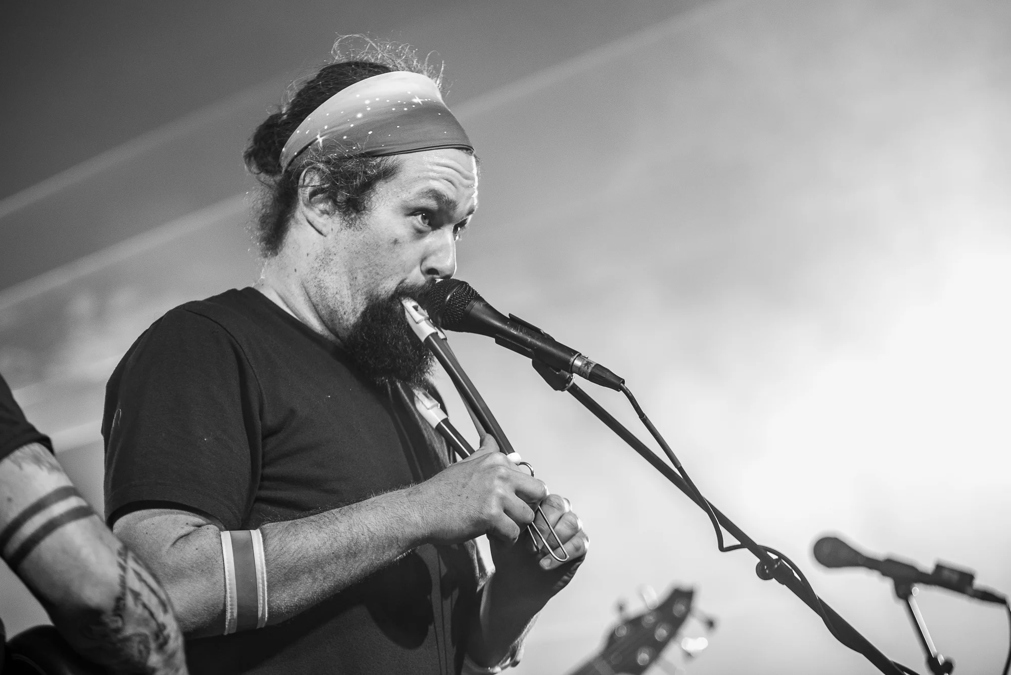 2019 - 04 April 26 - Twiddle - for web-35.jpg