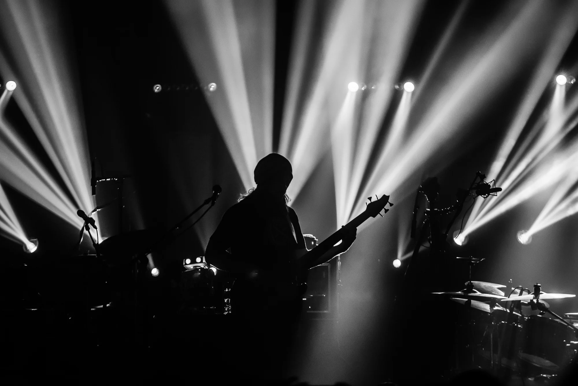 2019 - 04 April 26 - Twiddle - for web-13.jpg