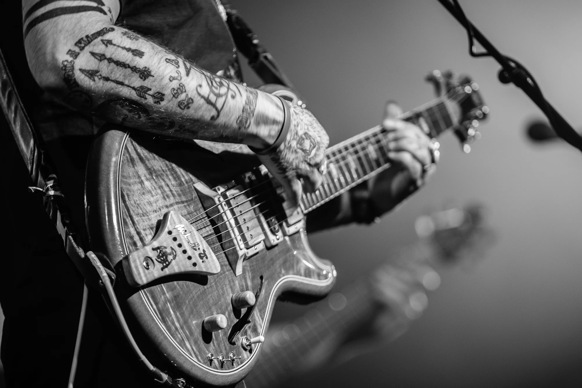2019 - 04 April 26 - Twiddle - for web-6.jpg