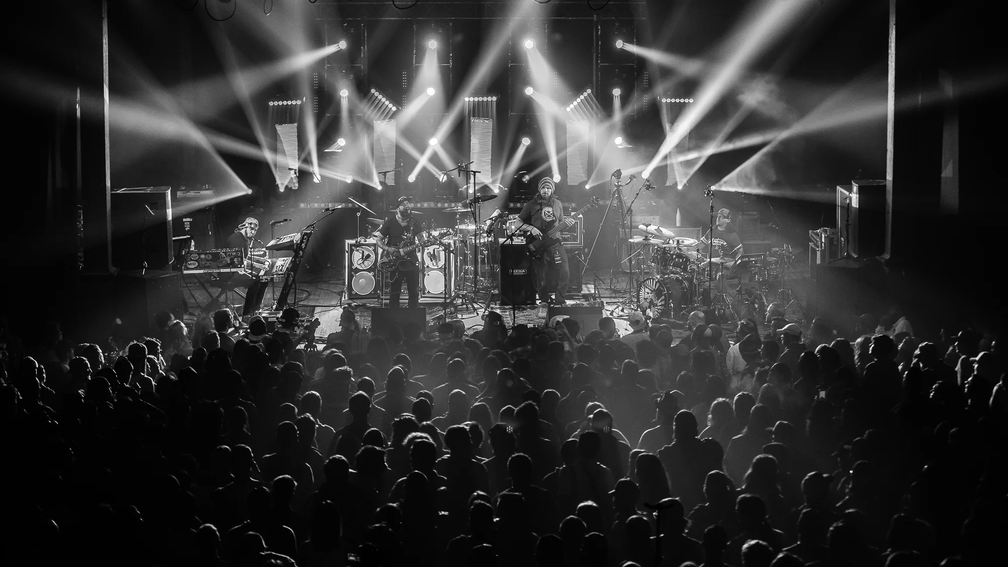 2019 - 04 April 26 - Twiddle - for web-4.jpg
