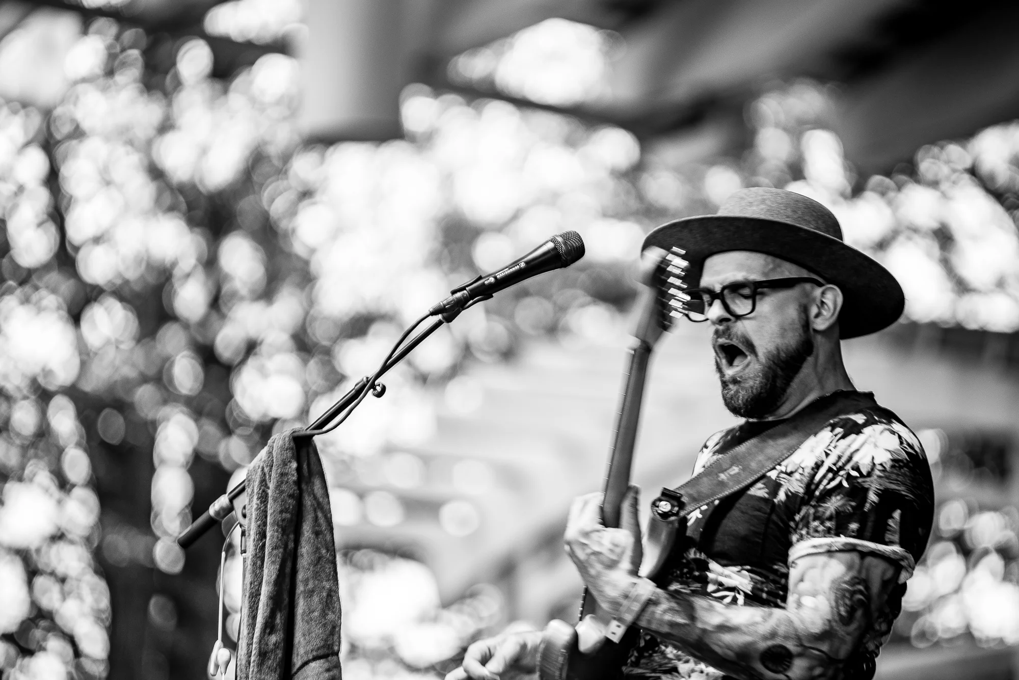 2019 - 06 June - Summerfest - Matt Hoyles - for web-52.jpg