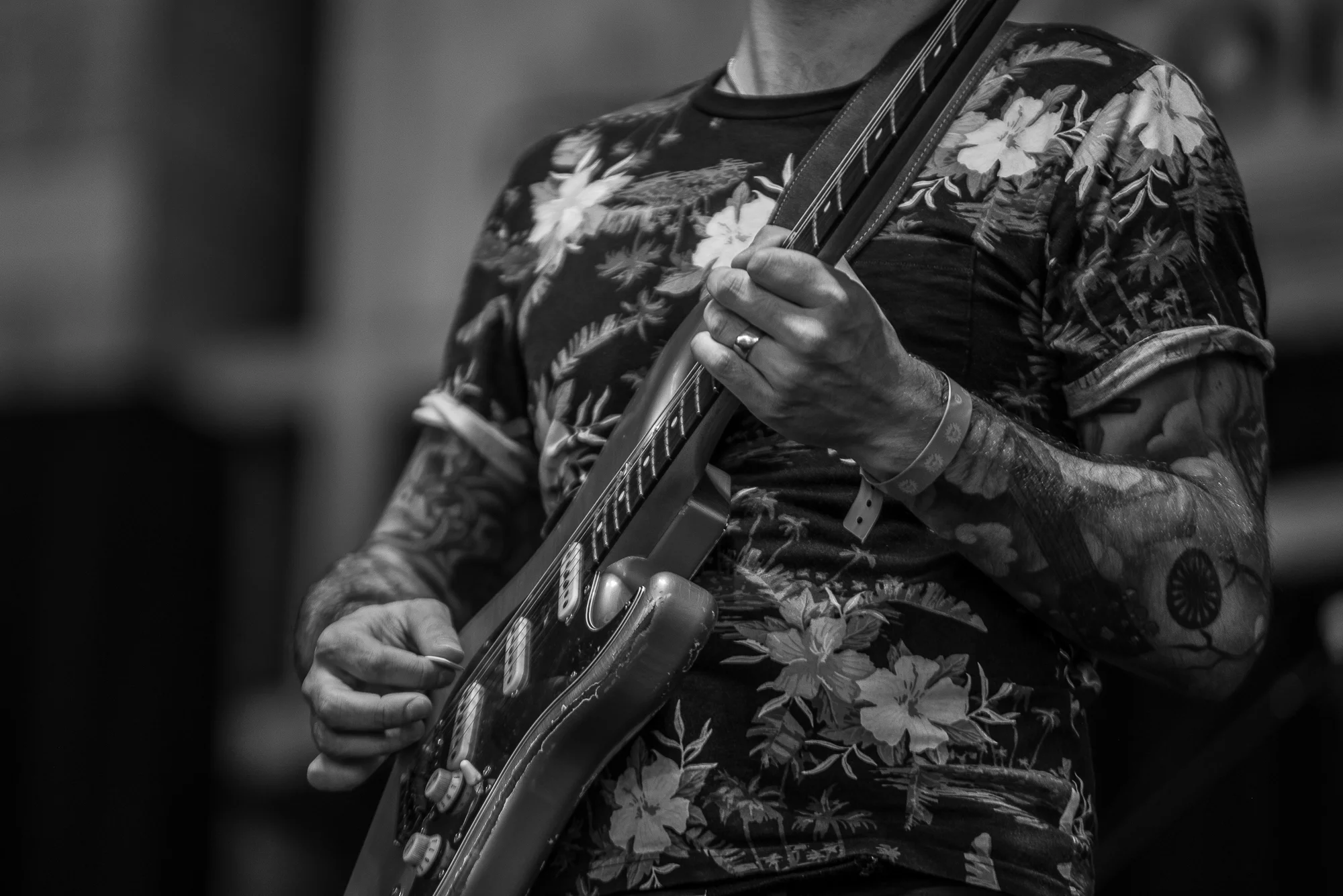 2019 - 06 June - Summerfest - Matt Hoyles - for web-46.jpg